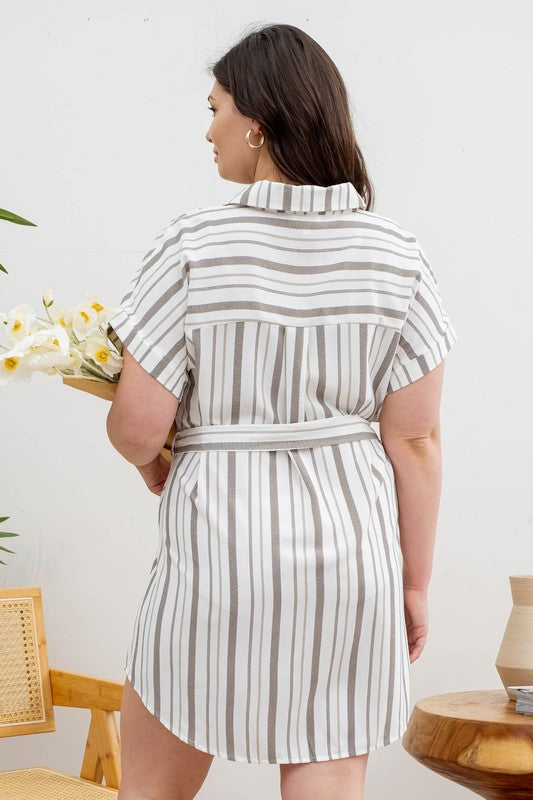 Curvy Stripe Belted Dress