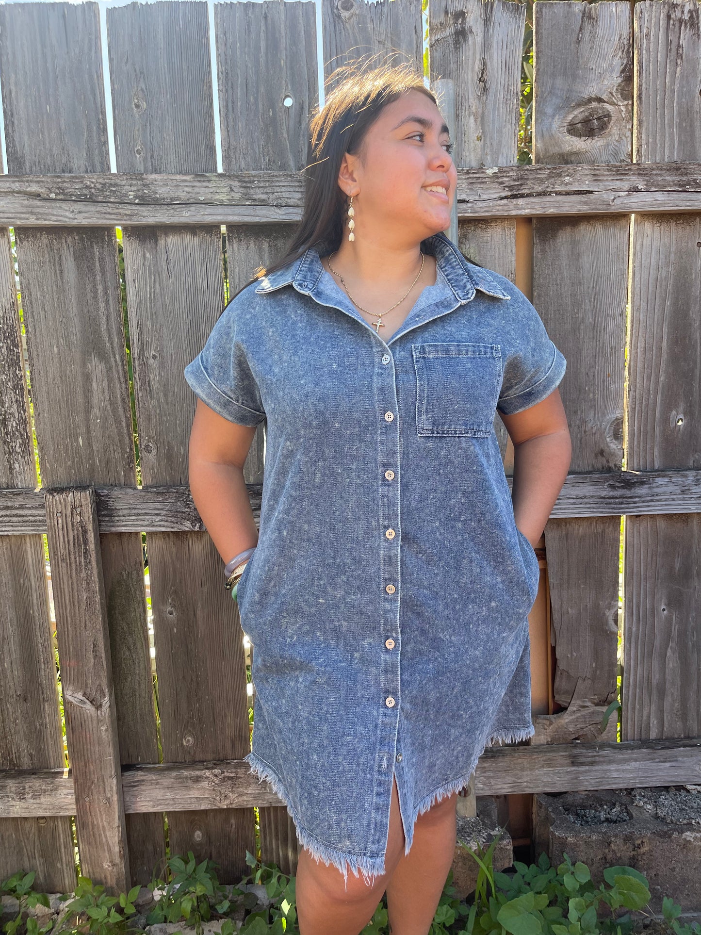 Charlie Denim Dress